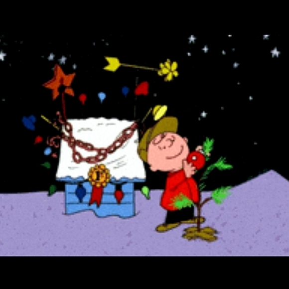 Peanuts Charlie Brown Kneeling With Tree Hallmark Ornament - Picture 9 of 16